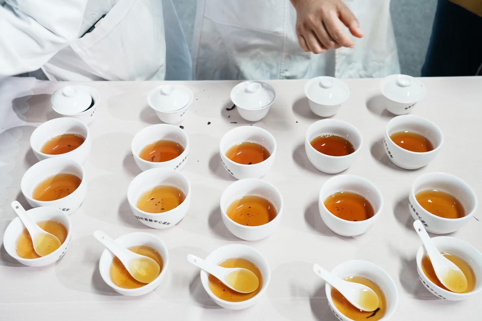 羲茗研茶好茶