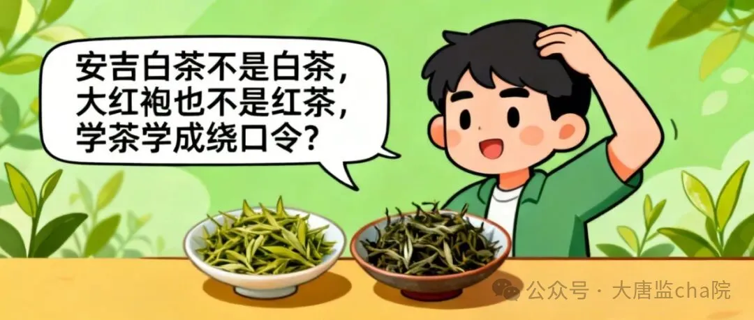 安吉白茶